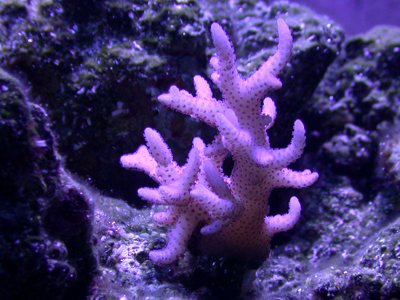 DSCN3165.jpg