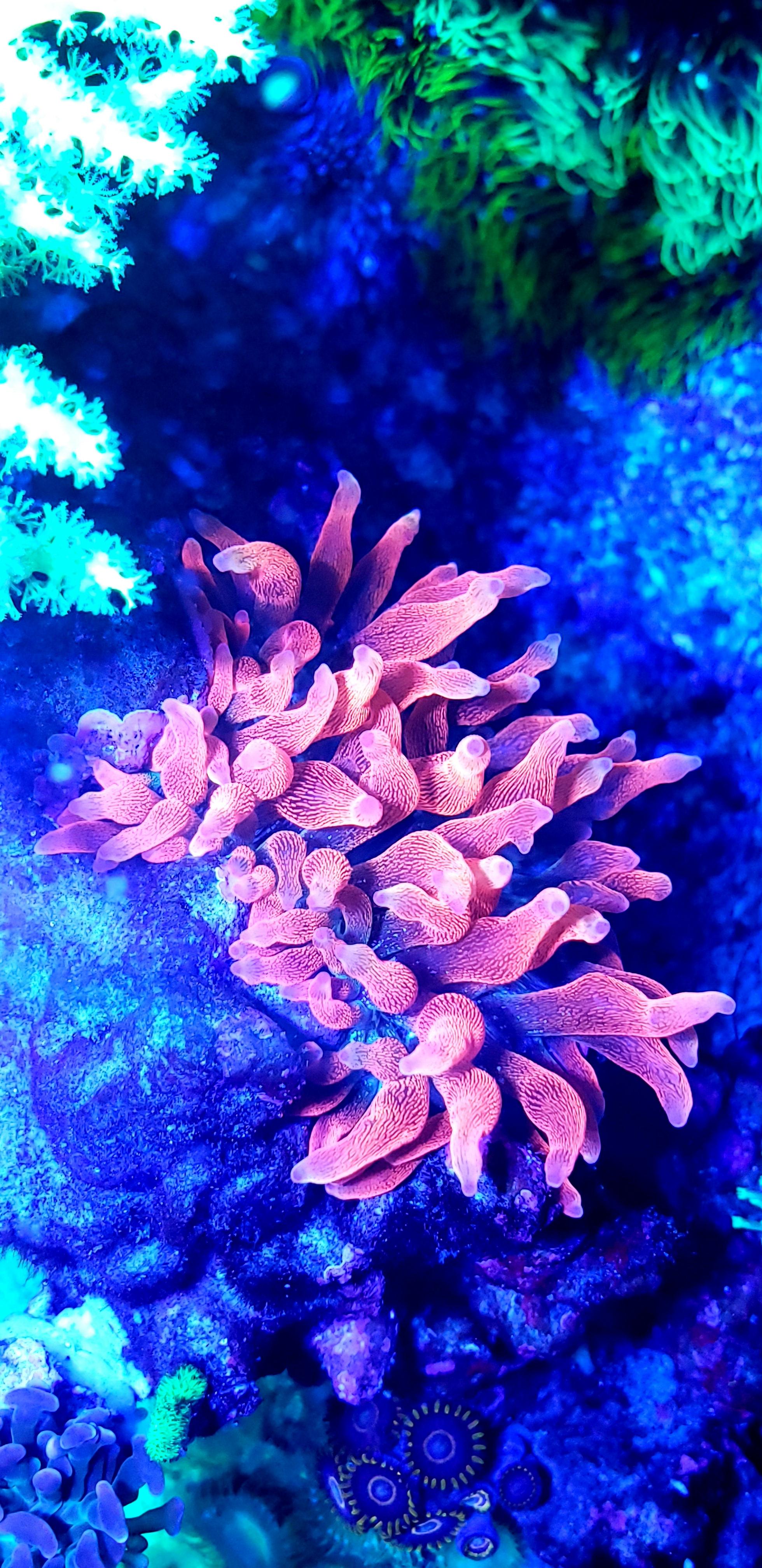b8f94759b8fe62b6a9241249463e8967.jpg