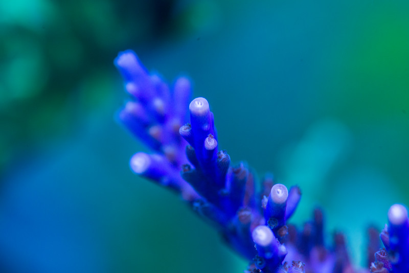DSC_5659-L.jpg
