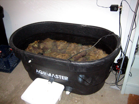 Tub.jpg