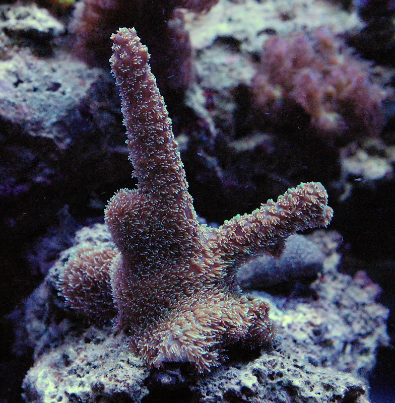 DSC_8708.JPG