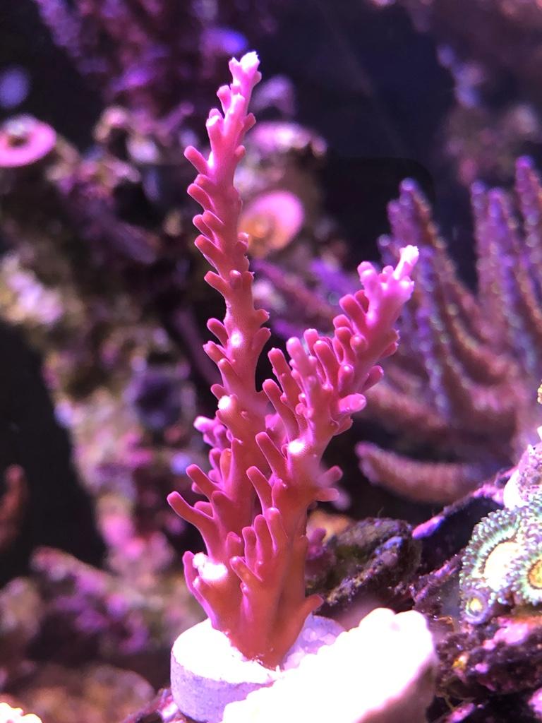 b2f1b6f203009efcb2e206d25095c42d.jpg