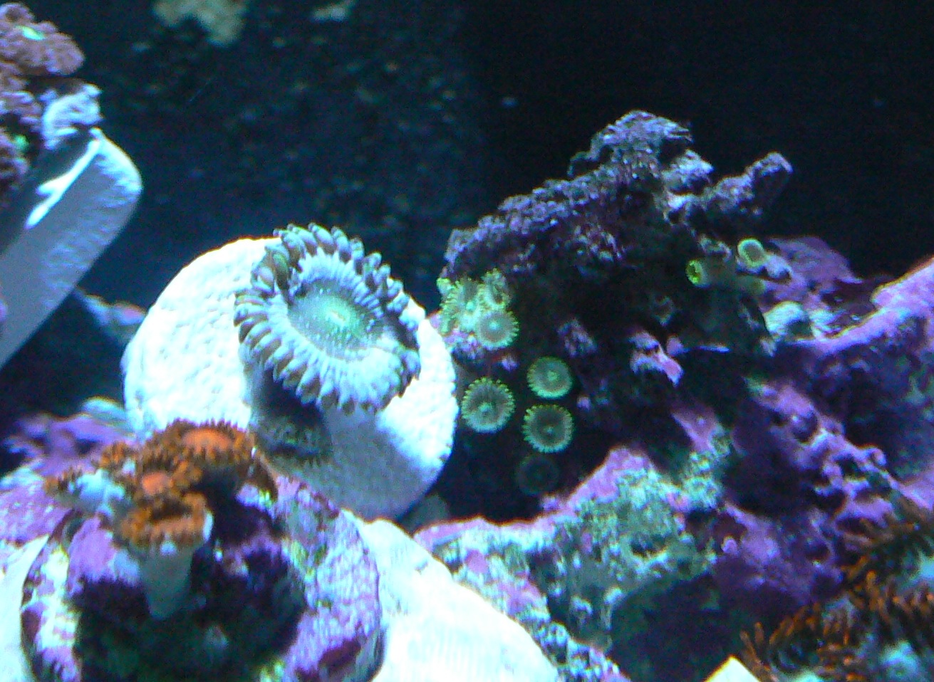 P1000672~.JPG