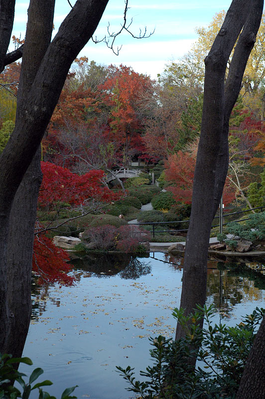 view_between_trees.jpg
