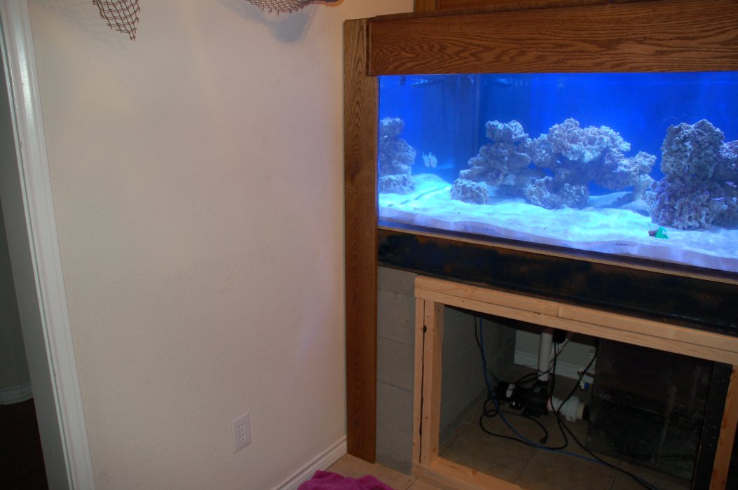 fishroom63.jpg