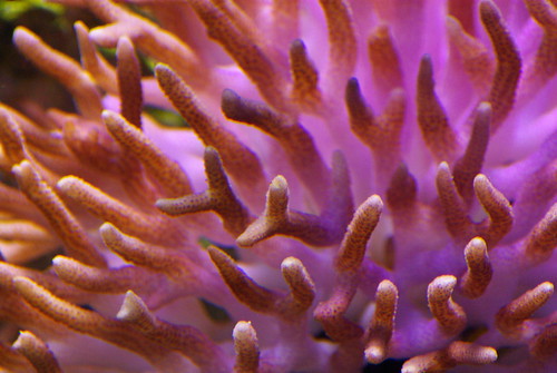 2915536621_aa23b3ab89.jpg