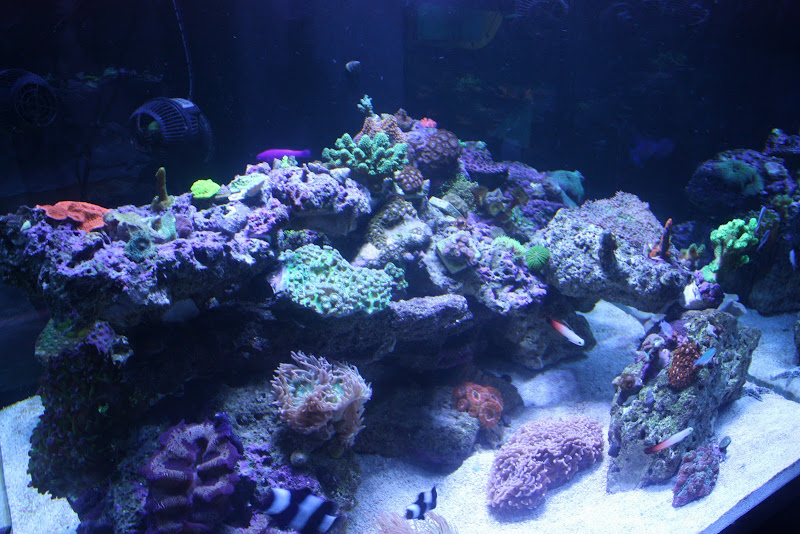IMG_5401.JPG