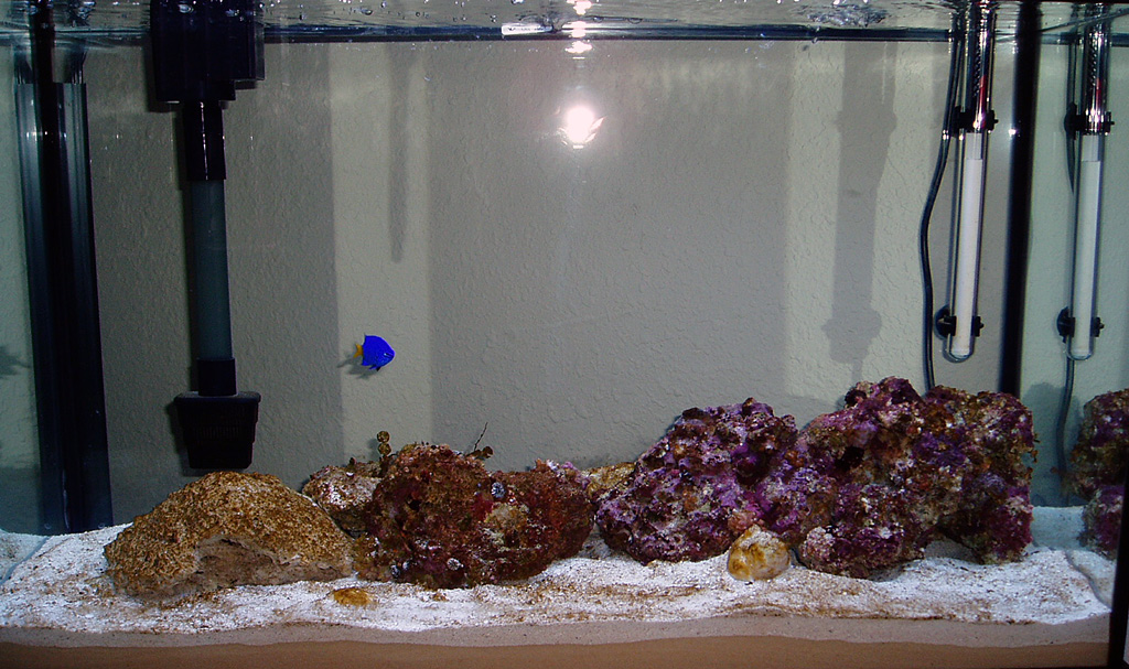 tank-01-17-05.jpg
