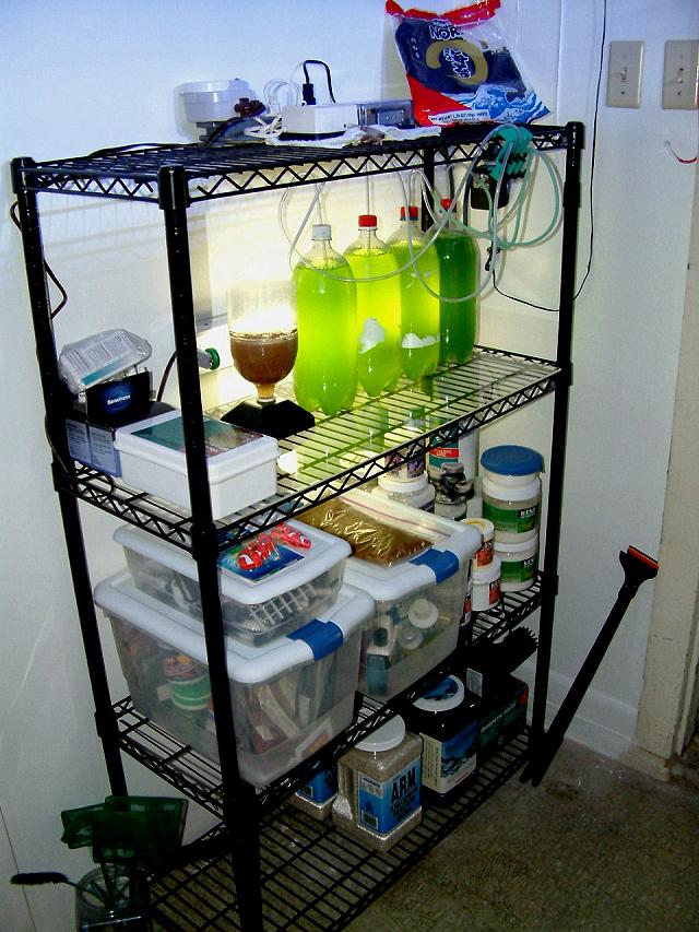 rack.jpg
