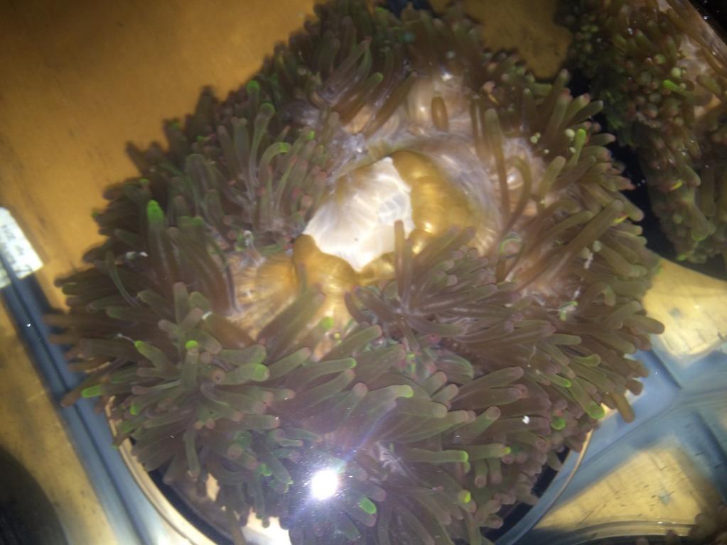 B01-QVxIIAA5JZe.jpg:large