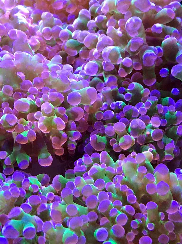 54110b66a743f00e54a680ab4a0ff219.jpg