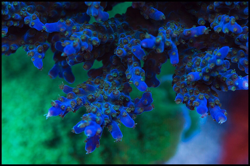 b5cda3a57040b943eb4e76f0e41a15f6.jpg
