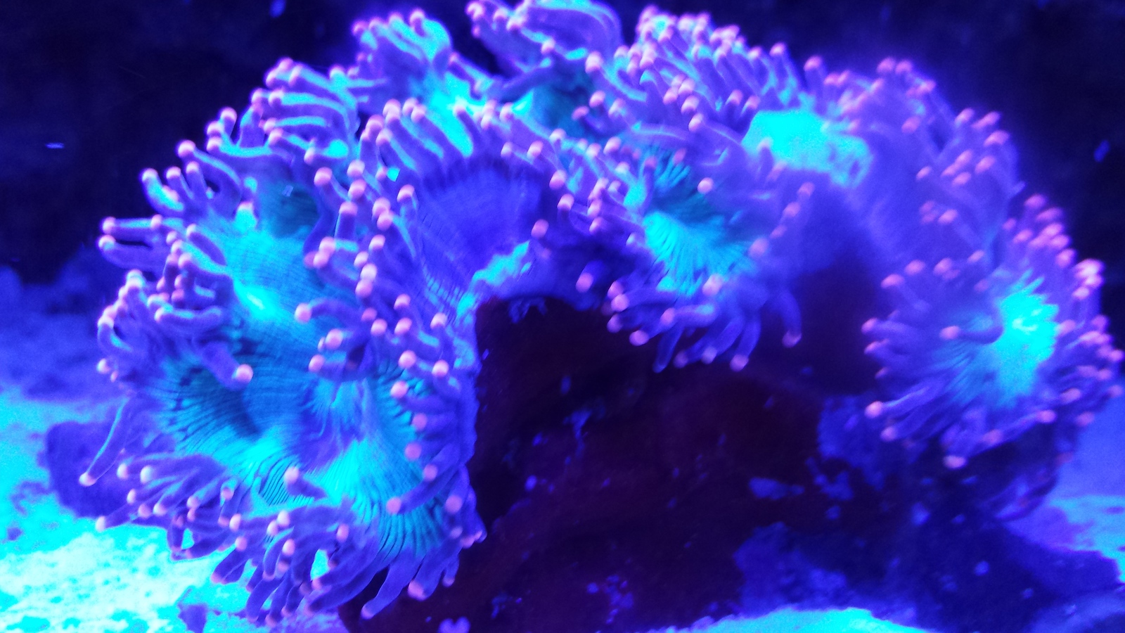 20131102_205313-X3.jpg