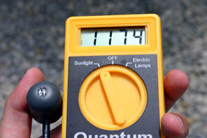 lightmeter_sun.jpg