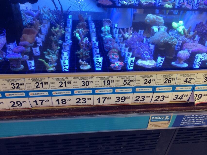 BpAtpGlIQAIt78D.jpg:large