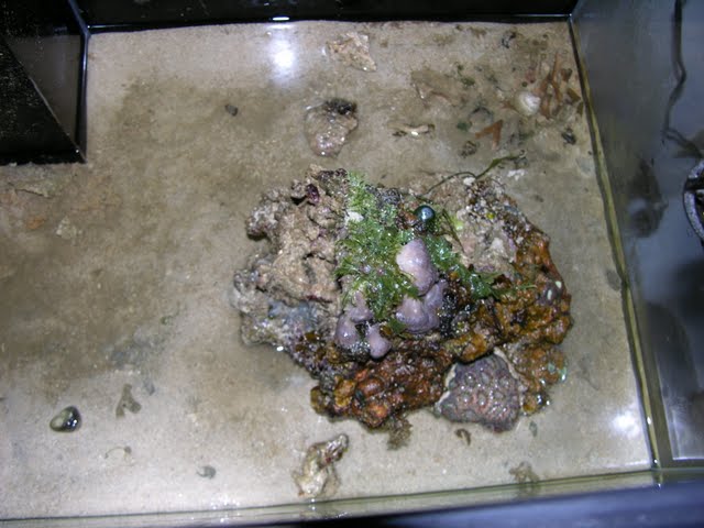 DSCN1910.JPG