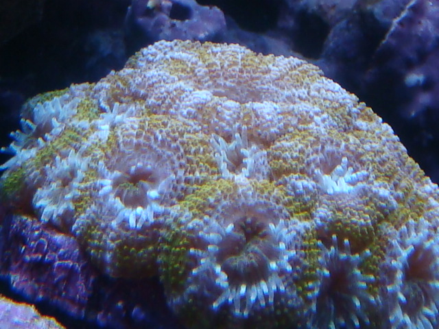 4121155684_51555c74f0_o.jpg