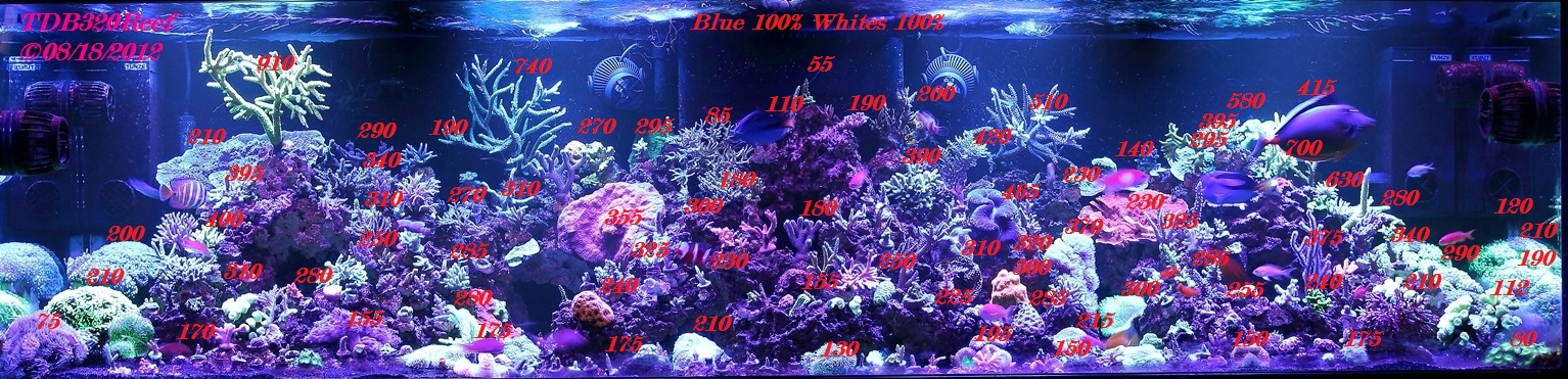 PAR100.JPG