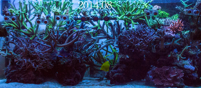14970070715_a388e44c94_o.jpg