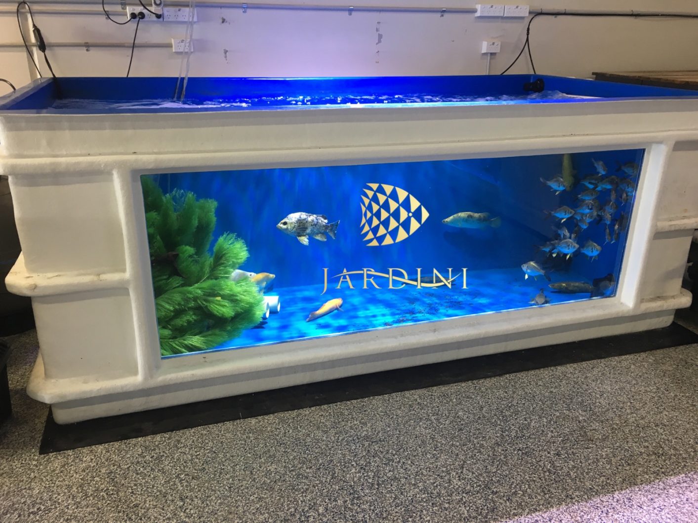 frash-water-aquarium-LED-light-1413x1060.jpg