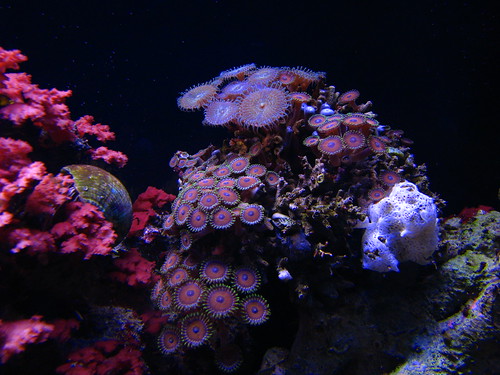 3064797198_e21927fce0.jpg