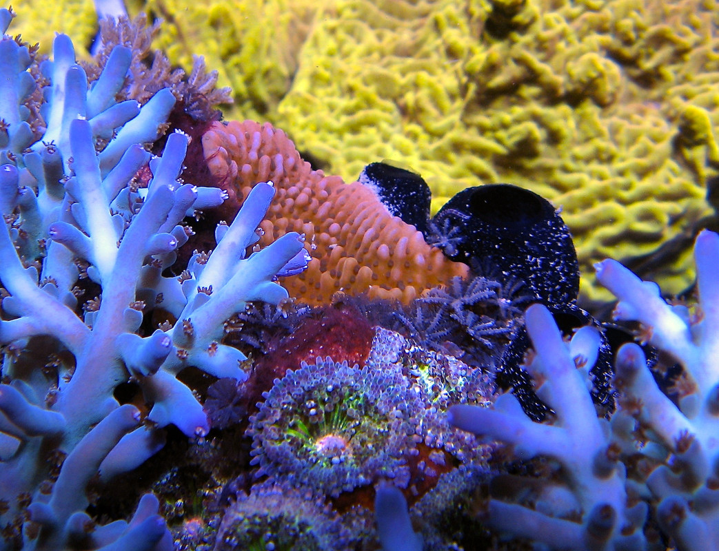 IMG_0197.jpg