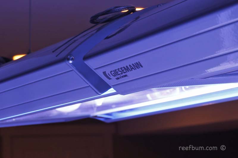 Light-Fixture-pic35.jpg