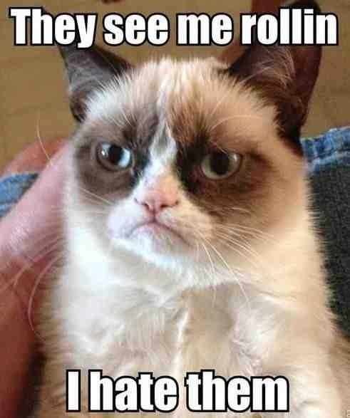33504-They-See-Me-Rollin-I-Hate-Them.jpg