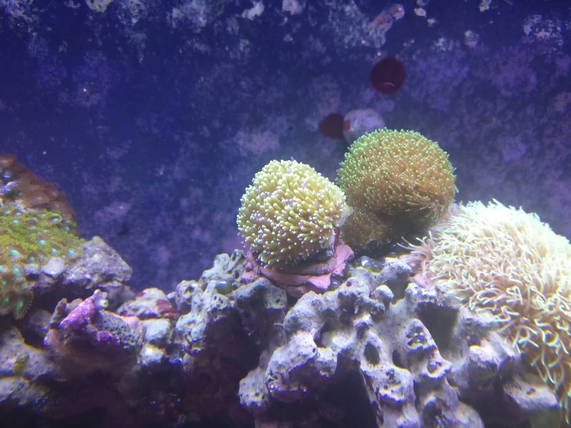 05f1f1720f3a51213bc1c0574aa0b688.jpg