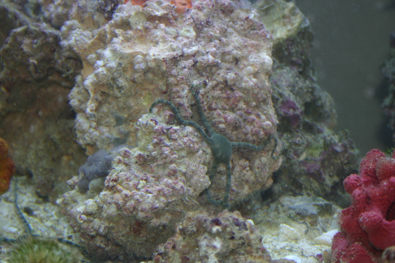 img_8062.jpg