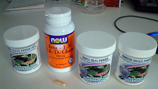 casper_meds.jpg