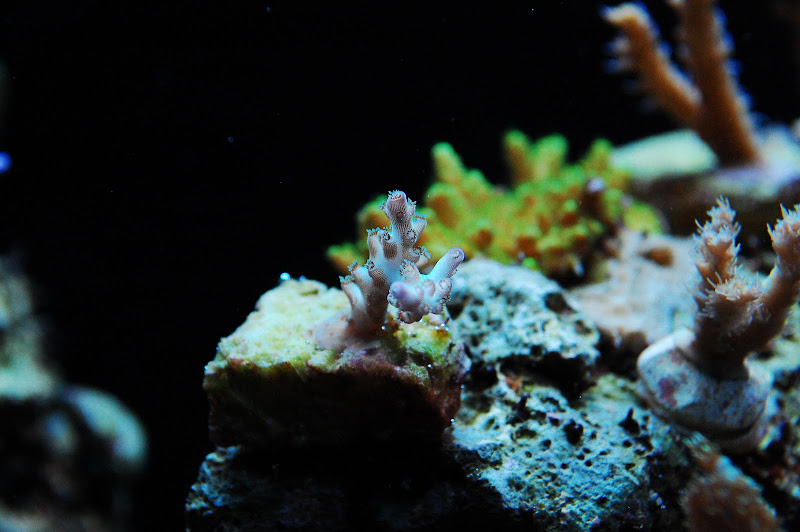 DSC_7115.JPG