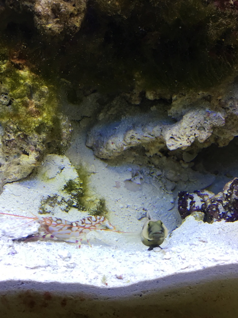 6c5d1766bf2fc8a4903b2651d7717d1d.jpg