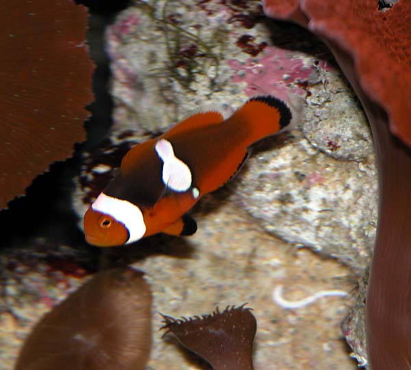 DSCN8012.jpg