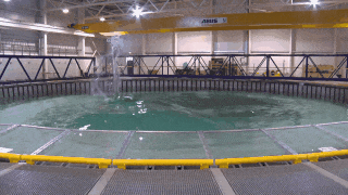 scary-pool.gif