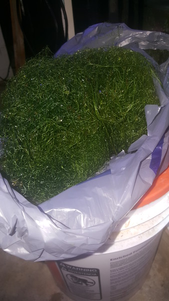 20170207_181051-L.jpg