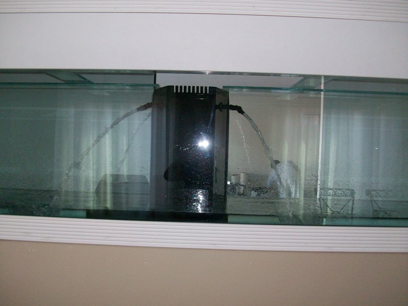 100_6377.jpg