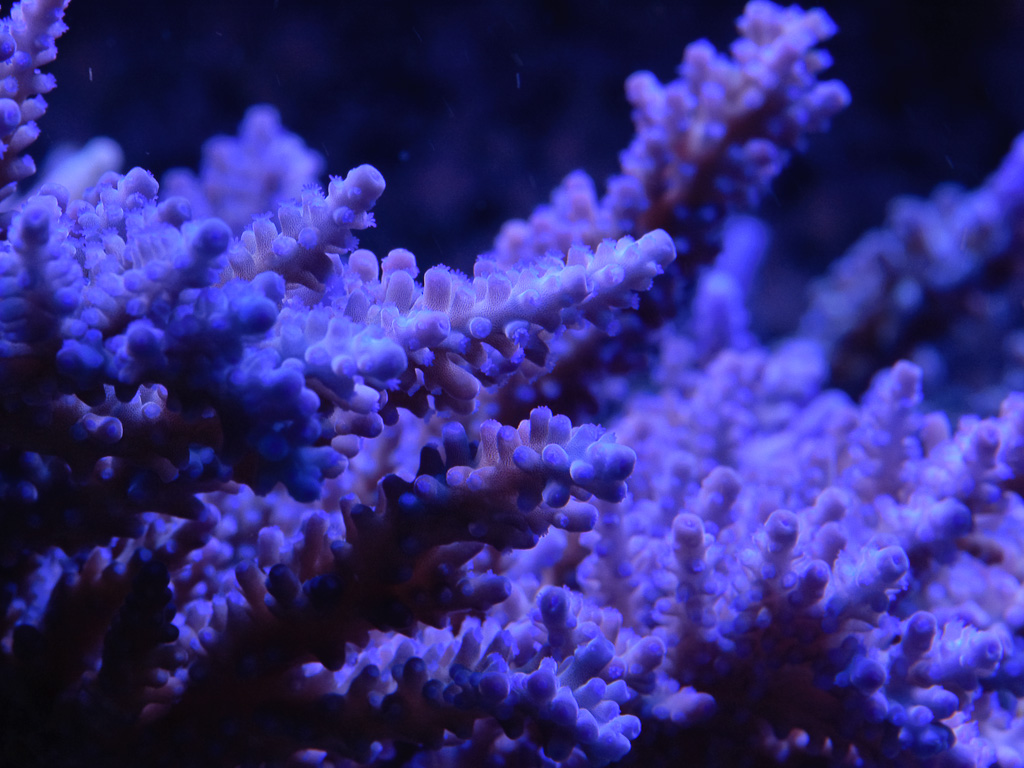 DSC_1836.jpg