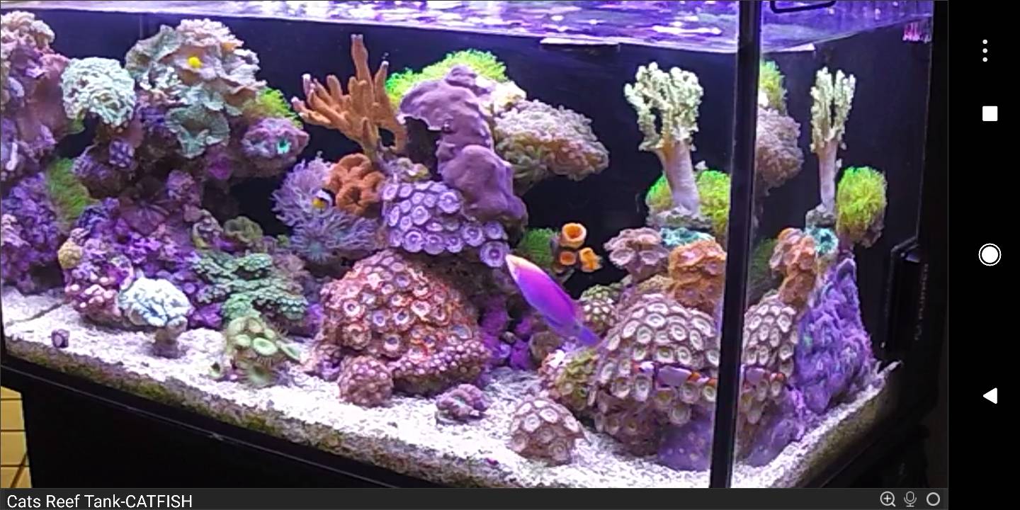 2a8e28360aa7a9364d36b71edd8f38c6.jpg