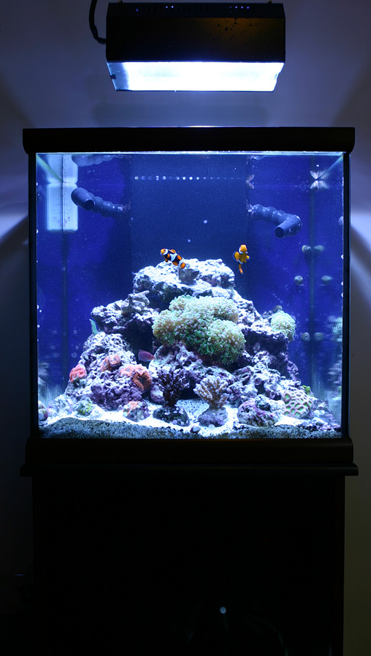 tank_082005_2.jpg