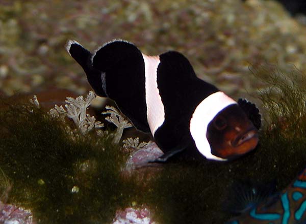 DSCN8038.jpg