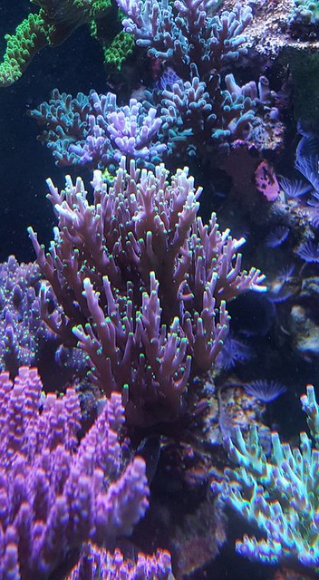 22318064532_53fd50fc8d_z.jpg