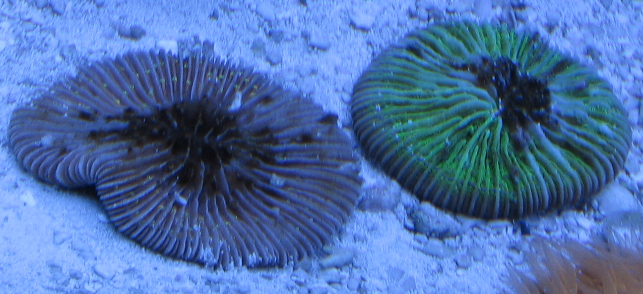01322651628504458266.jpg