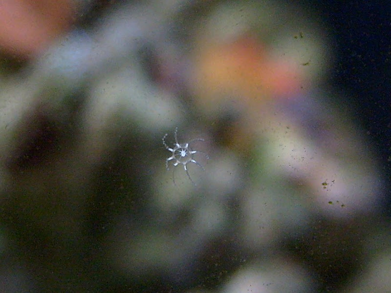 S6300495.JPG