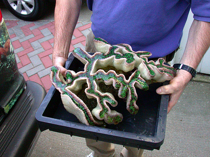 DSCN1656.jpg