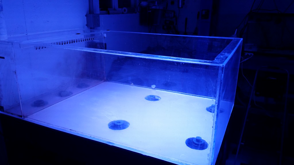 20150215_185914-XL.jpg