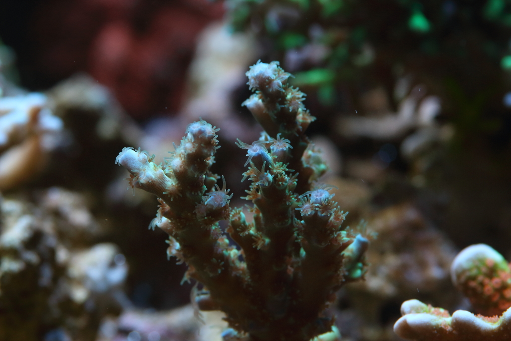 Nov2013M0079.JPG