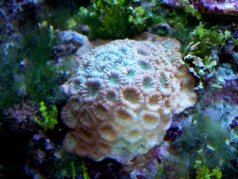 3167150389_3c620c9dc0_o.jpg