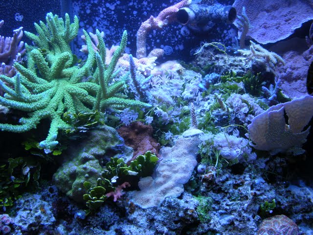 DSCN2330.JPG