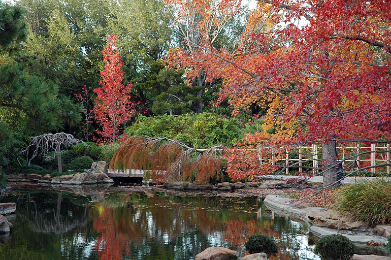 trees_over_water2.jpg